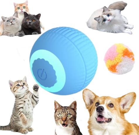 wloom amazon|cat Toy Two.